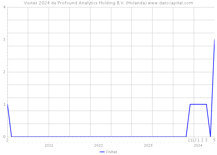 Visitas 2024 de Profound Analytics Holding B.V. (Holanda) 