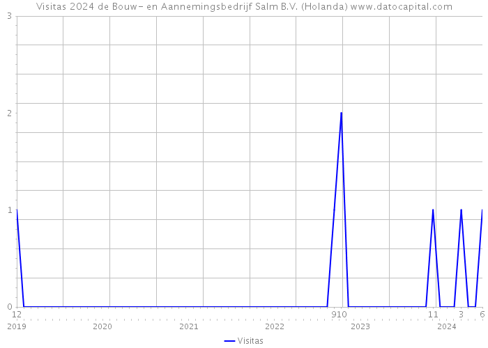 Visitas 2024 de Bouw- en Aannemingsbedrijf Salm B.V. (Holanda) 