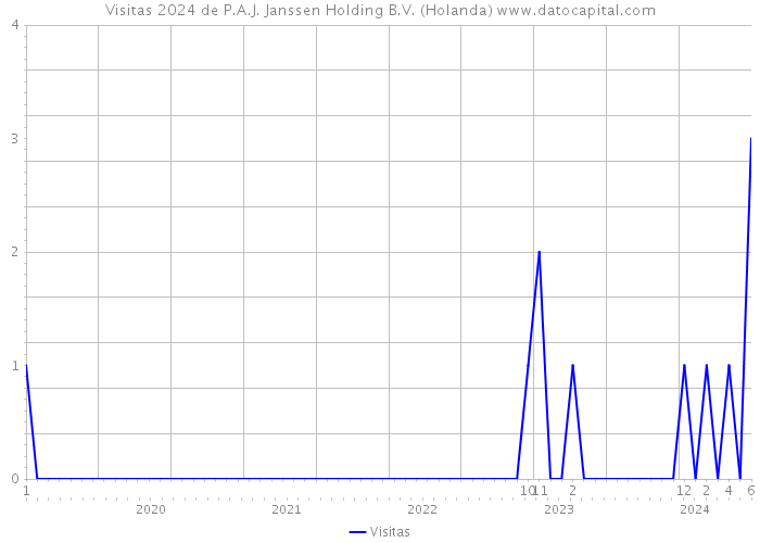 Visitas 2024 de P.A.J. Janssen Holding B.V. (Holanda) 