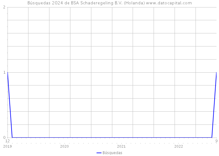 Búsquedas 2024 de BSA Schaderegeling B.V. (Holanda) 