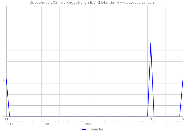 Búsquedas 2024 de Reggeborgh B.V. (Holanda) 