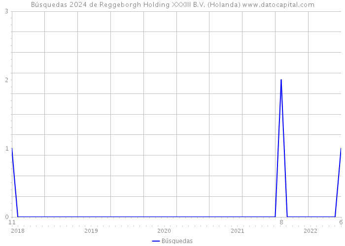 Búsquedas 2024 de Reggeborgh Holding XXXIII B.V. (Holanda) 