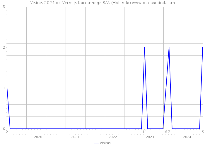 Visitas 2024 de Vermijs Kartonnage B.V. (Holanda) 