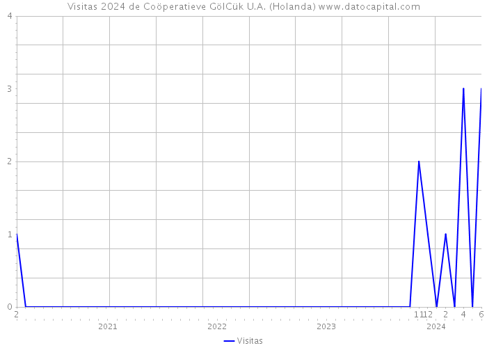 Visitas 2024 de Coöperatieve GölCük U.A. (Holanda) 