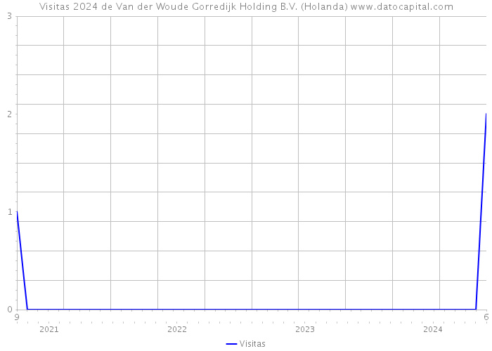 Visitas 2024 de Van der Woude Gorredijk Holding B.V. (Holanda) 