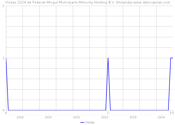 Visitas 2024 de Federal-Mogul Motorparts Minority Holding B.V. (Holanda) 