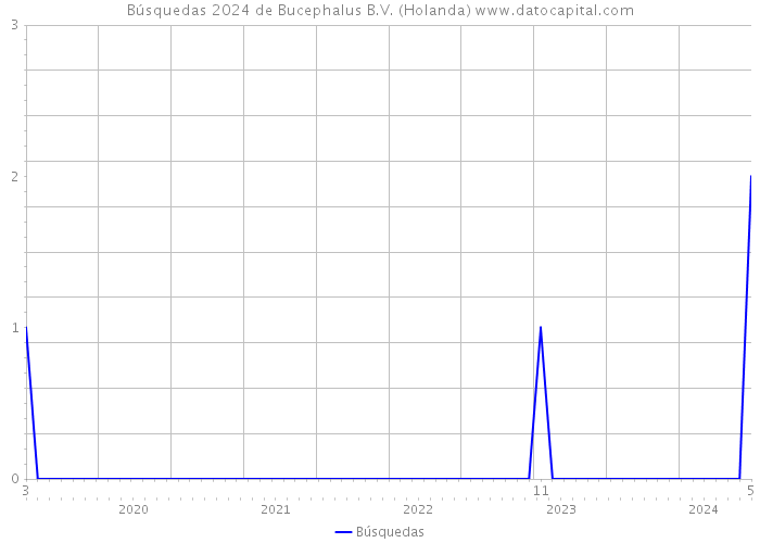 Búsquedas 2024 de Bucephalus B.V. (Holanda) 