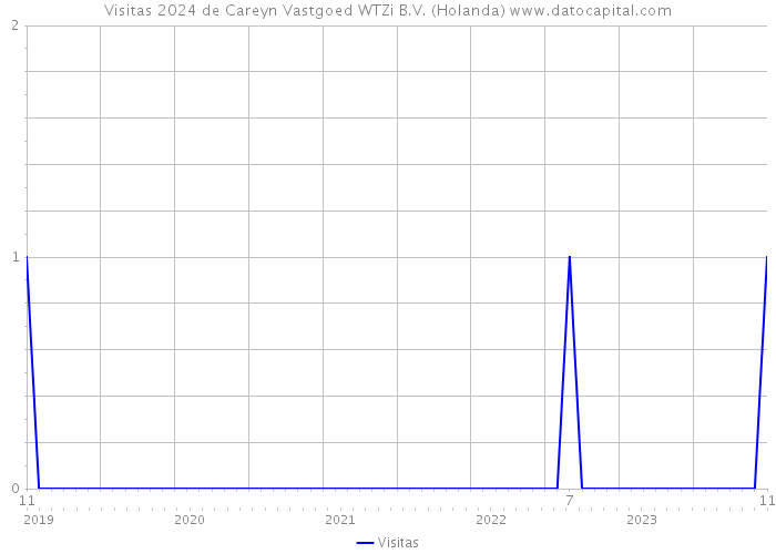 Visitas 2024 de Careyn Vastgoed WTZi B.V. (Holanda) 