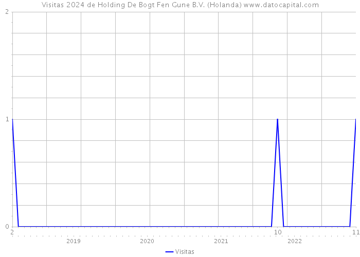 Visitas 2024 de Holding De Bogt Fen Gune B.V. (Holanda) 