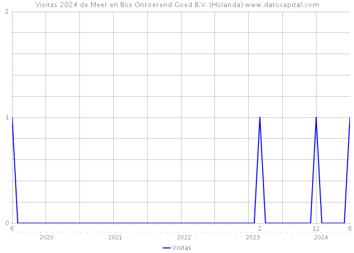 Visitas 2024 de Meer en Bos Onroerend Goed B.V. (Holanda) 