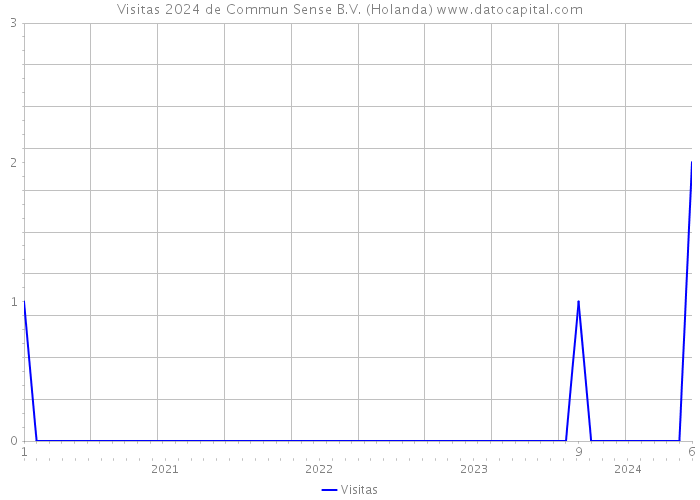 Visitas 2024 de Commun Sense B.V. (Holanda) 