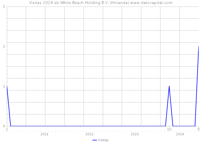 Visitas 2024 de White Beach Holding B.V. (Holanda) 