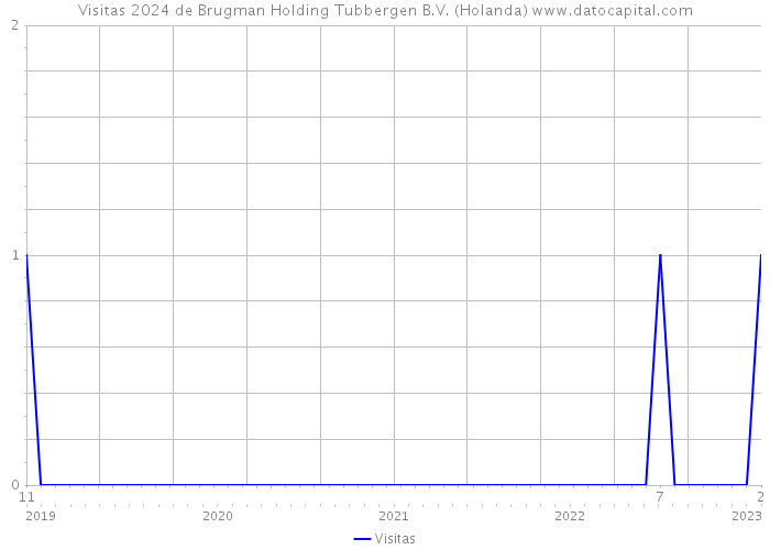 Visitas 2024 de Brugman Holding Tubbergen B.V. (Holanda) 