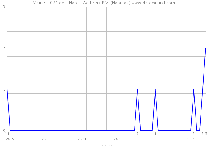 Visitas 2024 de 't Hooft-Wolbrink B.V. (Holanda) 