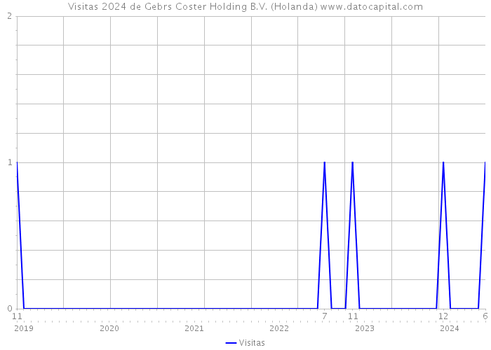 Visitas 2024 de Gebrs Coster Holding B.V. (Holanda) 