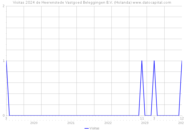 Visitas 2024 de Heerenstede Vastgoed Beleggingen B.V. (Holanda) 
