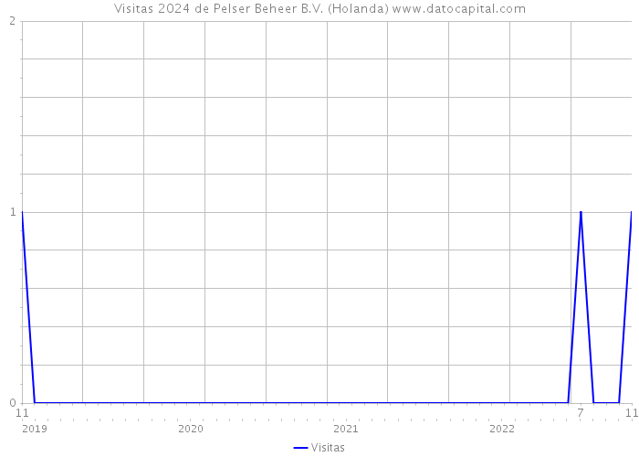 Visitas 2024 de Pelser Beheer B.V. (Holanda) 