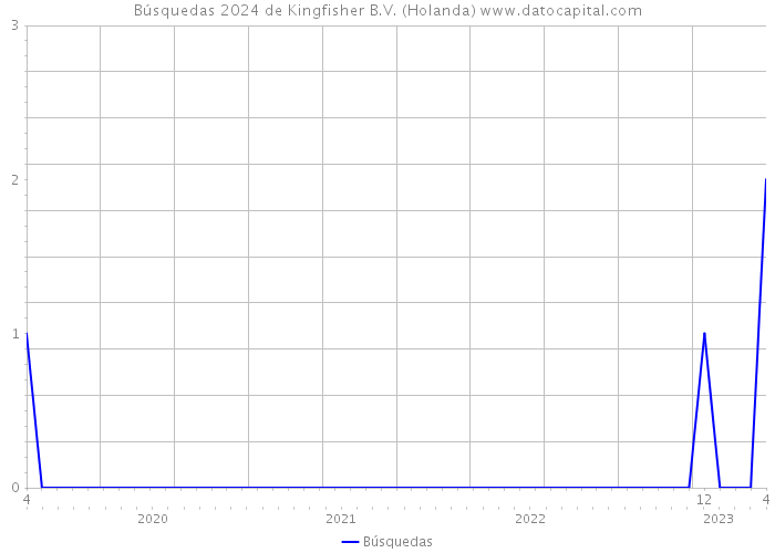 Búsquedas 2024 de Kingfisher B.V. (Holanda) 
