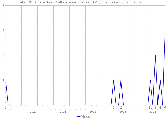 Visitas 2024 de Wijlaars Valkenswaard Beheer B.V. (Holanda) 