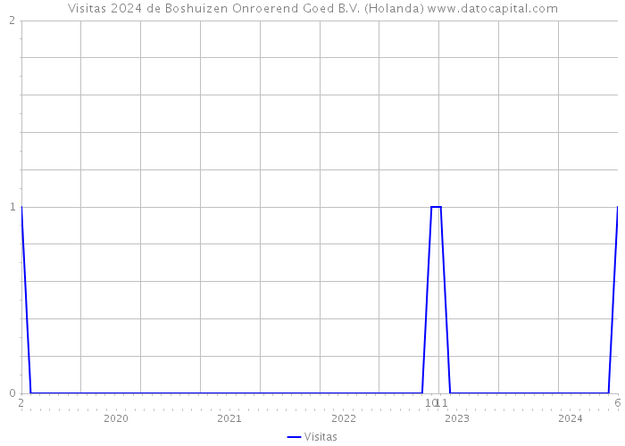 Visitas 2024 de Boshuizen Onroerend Goed B.V. (Holanda) 