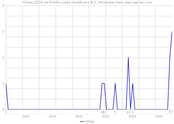 Visitas 2024 de PinkRoccade Healthcare B.V. (Holanda) 