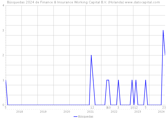 Búsquedas 2024 de Finance & Insurance Working Capital B.V. (Holanda) 