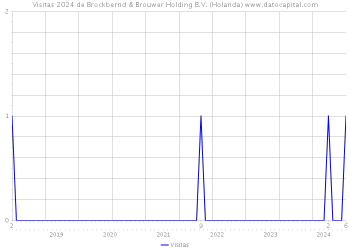 Visitas 2024 de Brockbernd & Brouwer Holding B.V. (Holanda) 