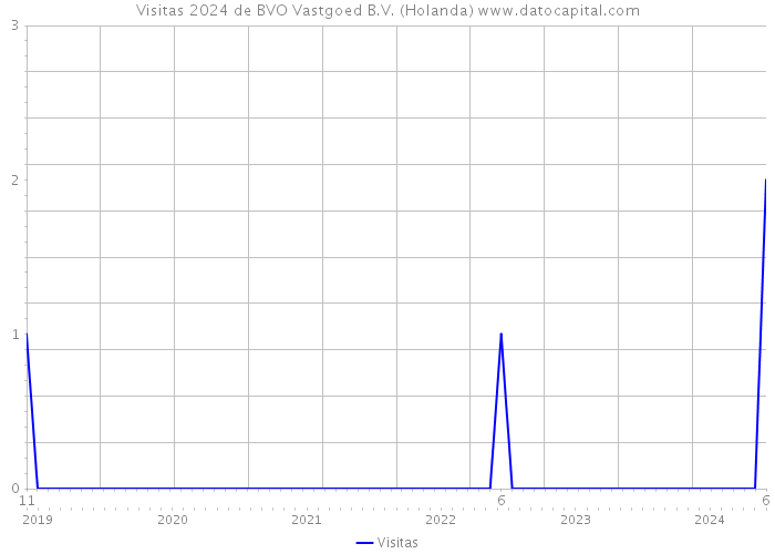 Visitas 2024 de BVO Vastgoed B.V. (Holanda) 