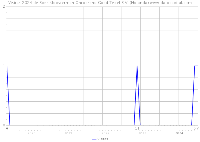 Visitas 2024 de Boer Kloosterman Onroerend Goed Texel B.V. (Holanda) 