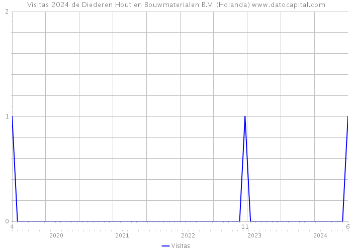 Visitas 2024 de Diederen Hout en Bouwmaterialen B.V. (Holanda) 