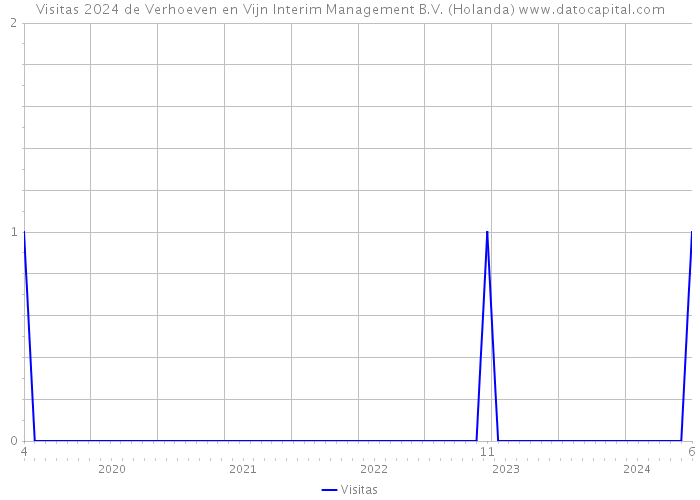 Visitas 2024 de Verhoeven en Vijn Interim Management B.V. (Holanda) 