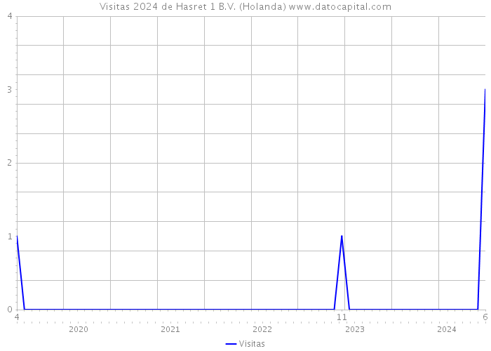 Visitas 2024 de Hasret 1 B.V. (Holanda) 