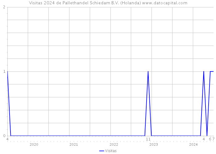 Visitas 2024 de Pallethandel Schiedam B.V. (Holanda) 