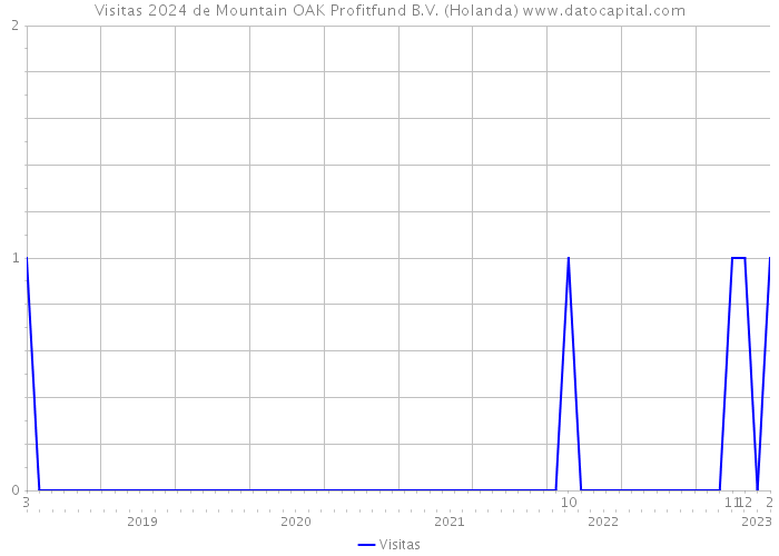 Visitas 2024 de Mountain OAK Profitfund B.V. (Holanda) 