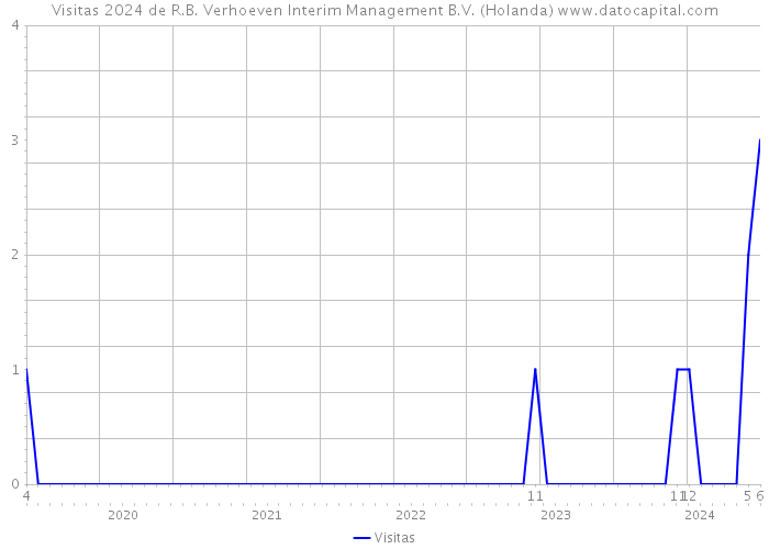 Visitas 2024 de R.B. Verhoeven Interim Management B.V. (Holanda) 