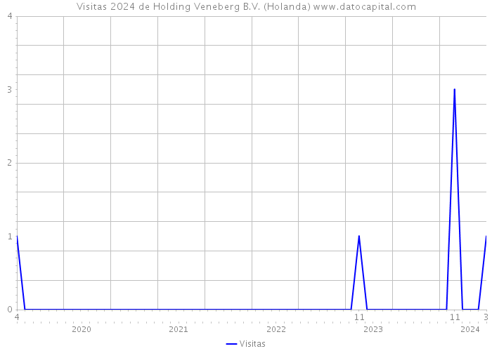Visitas 2024 de Holding Veneberg B.V. (Holanda) 