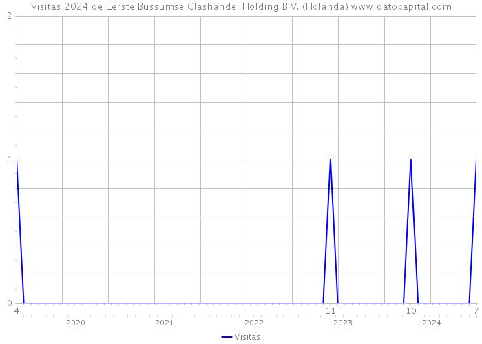 Visitas 2024 de Eerste Bussumse Glashandel Holding B.V. (Holanda) 