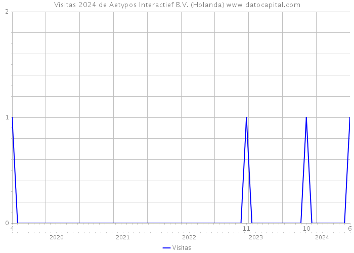 Visitas 2024 de Aetypos Interactief B.V. (Holanda) 