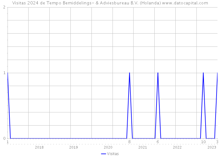 Visitas 2024 de Tempo Bemiddelings- & Adviesbureau B.V. (Holanda) 