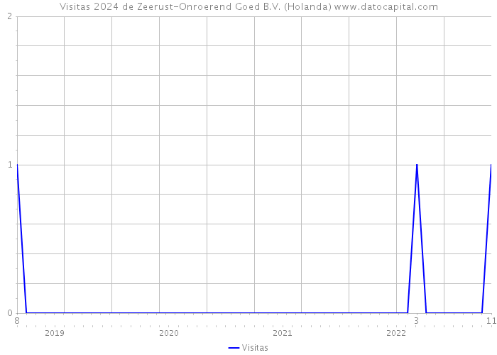 Visitas 2024 de Zeerust-Onroerend Goed B.V. (Holanda) 