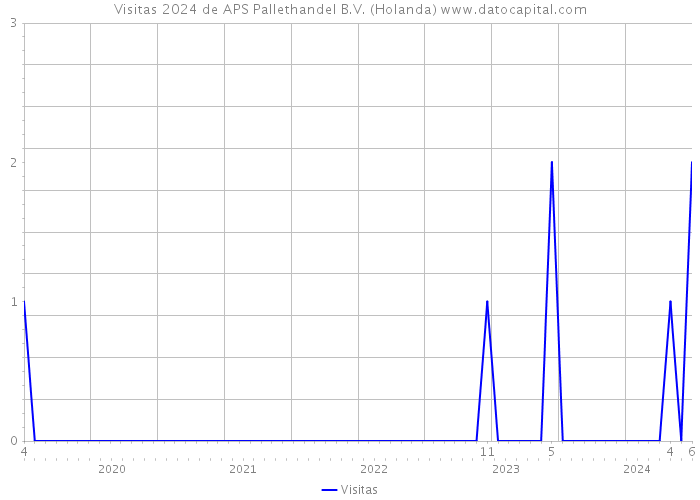 Visitas 2024 de APS Pallethandel B.V. (Holanda) 