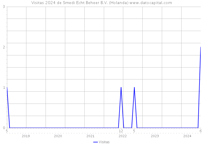 Visitas 2024 de Smedi Echt Beheer B.V. (Holanda) 