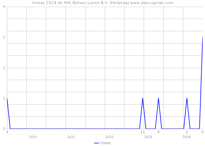 Visitas 2024 de HvK Beheer Lieren B.V. (Holanda) 