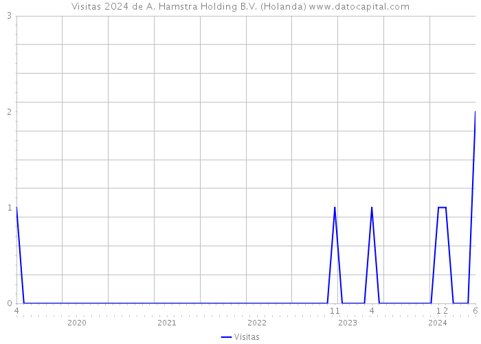 Visitas 2024 de A. Hamstra Holding B.V. (Holanda) 