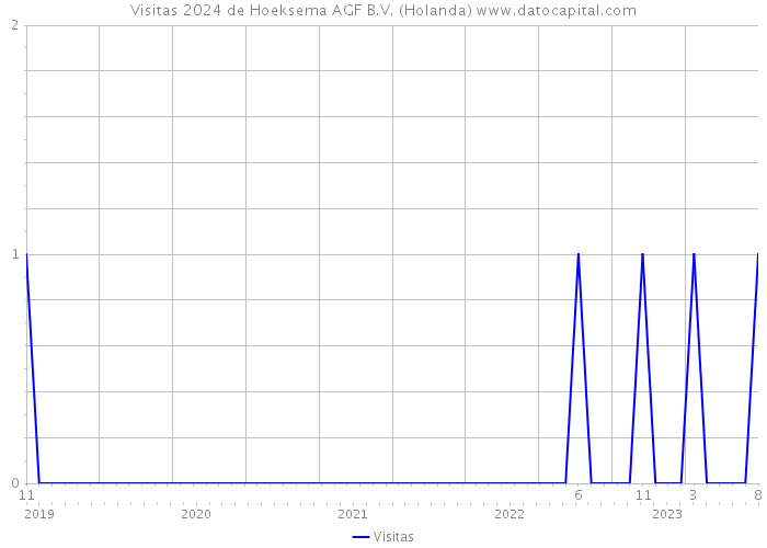 Visitas 2024 de Hoeksema AGF B.V. (Holanda) 