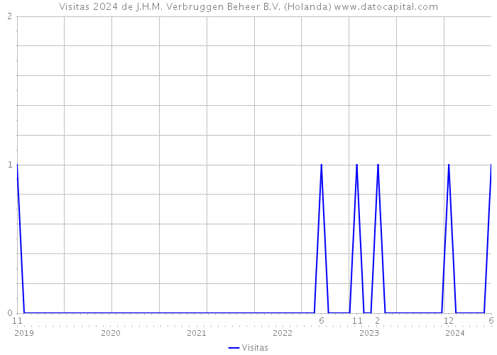 Visitas 2024 de J.H.M. Verbruggen Beheer B.V. (Holanda) 