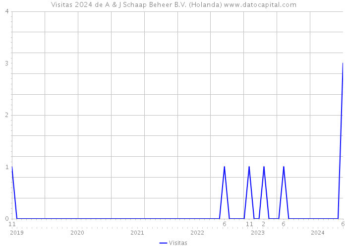 Visitas 2024 de A & J Schaap Beheer B.V. (Holanda) 