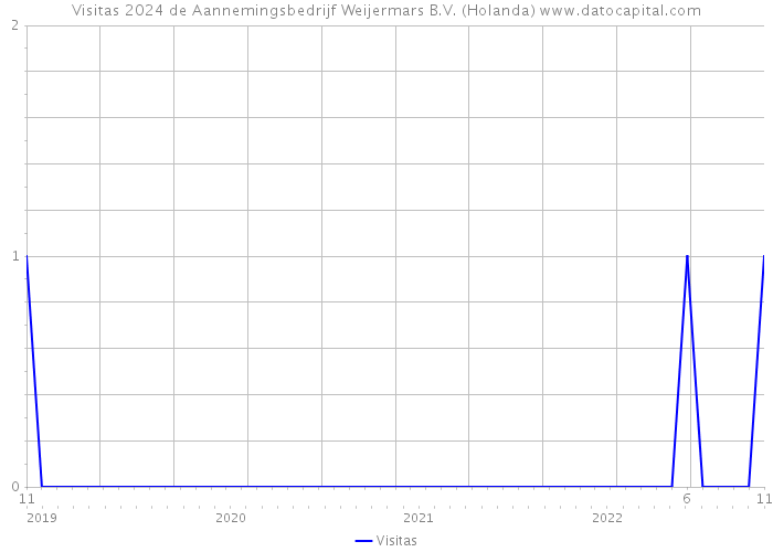 Visitas 2024 de Aannemingsbedrijf Weijermars B.V. (Holanda) 