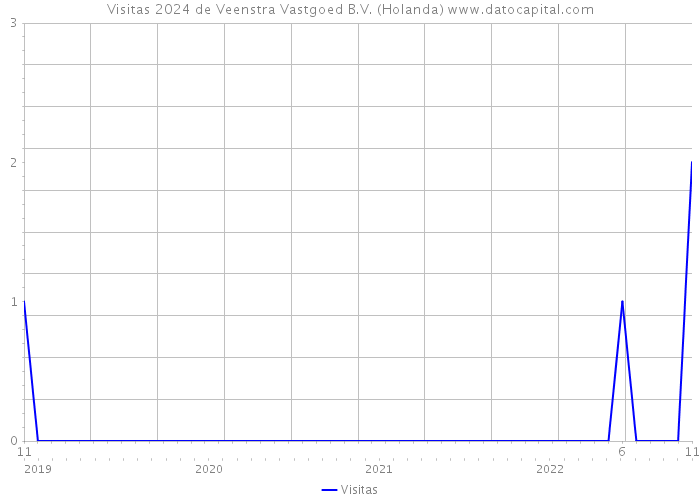 Visitas 2024 de Veenstra Vastgoed B.V. (Holanda) 