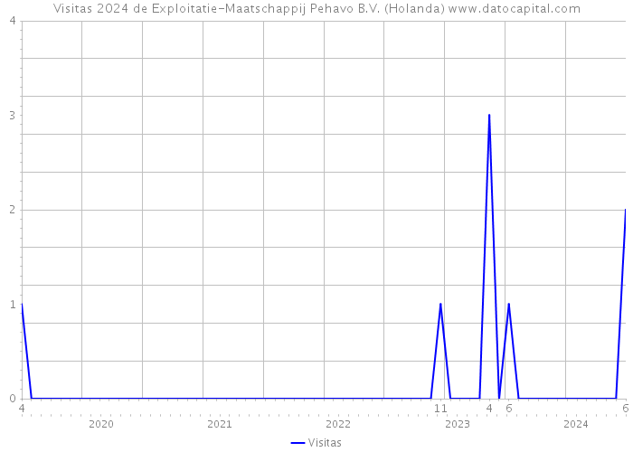 Visitas 2024 de Exploitatie-Maatschappij Pehavo B.V. (Holanda) 